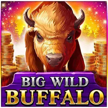 Play Big Wild Buffalo Playhub casino